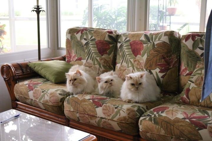 Robert Embry's album, Timeline photos