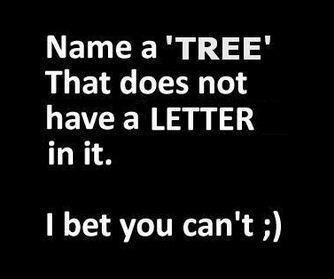 Can you name at least one...?
