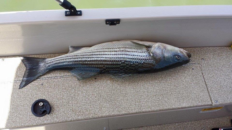 Rippin lips!