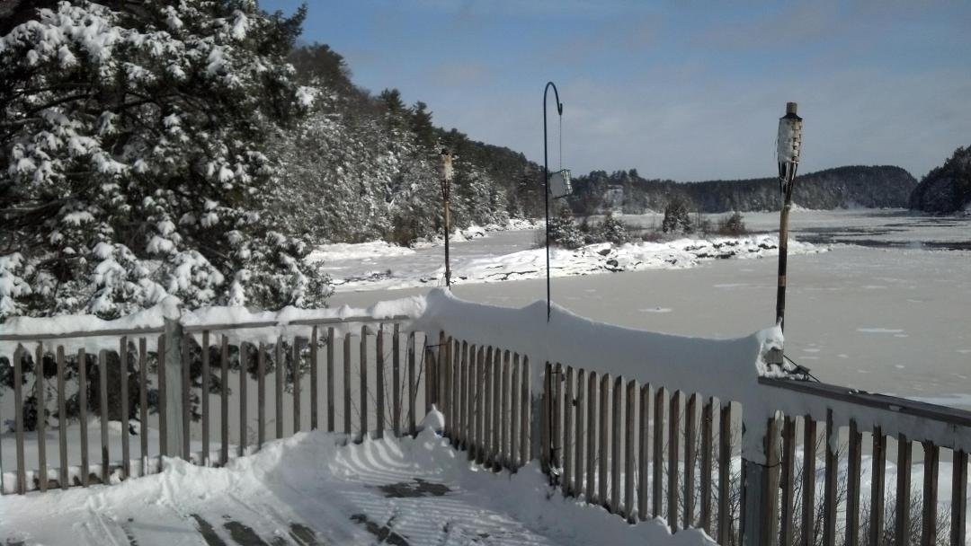 Looking out at the brook emptying into the river