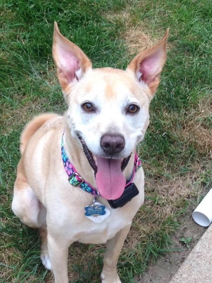 Last night our beautiful, sweet baby went to heaven. We will miss her so much.