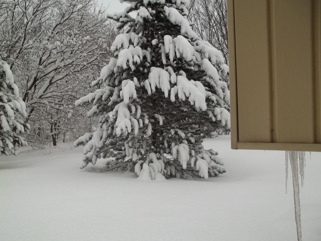 Outside our kitchen and parking lot - 2-9-13 temp 18 - they say Monday will have a high of 45 and rain......