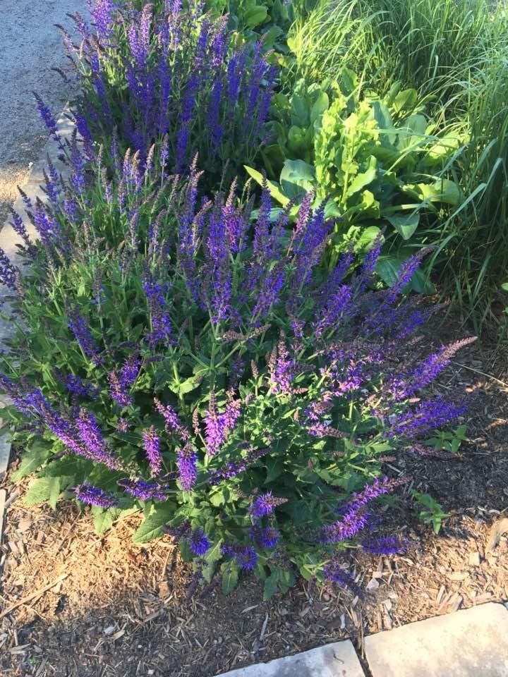 Anne Adams' album, Timeline Photos