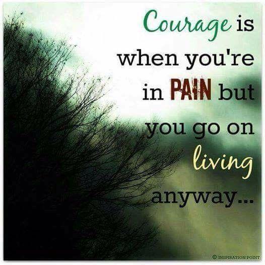 Amy Shepard's album, Timeline photos
