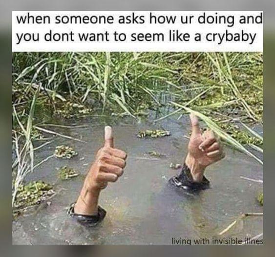 Amy Shepard's album, Timeline photos