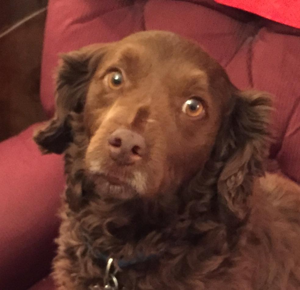 Do I want to what? Go for a walk?!?! Is the pope Catholic?
