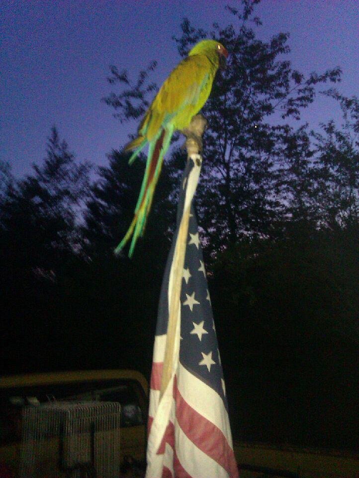 God bless america !!!!
