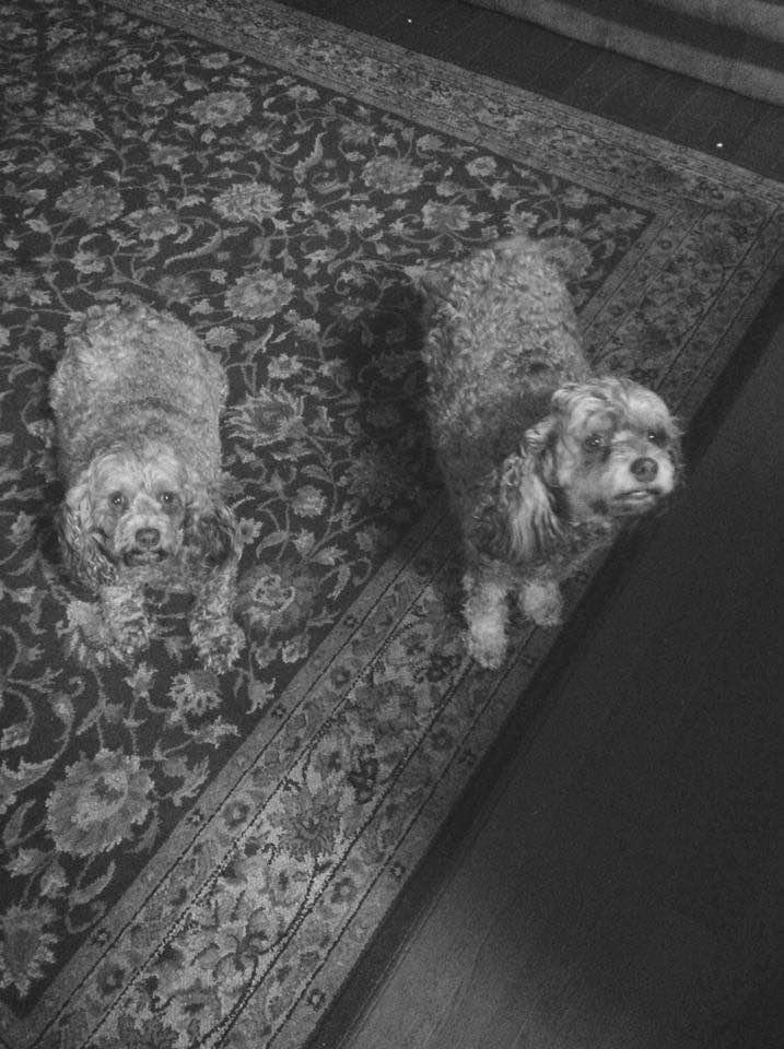 Here is my black and white...old friends