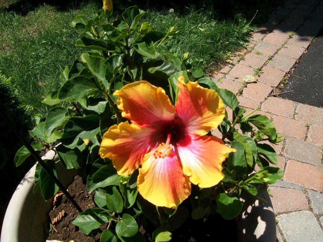 Denise Marcoux's album, Timeline Photos