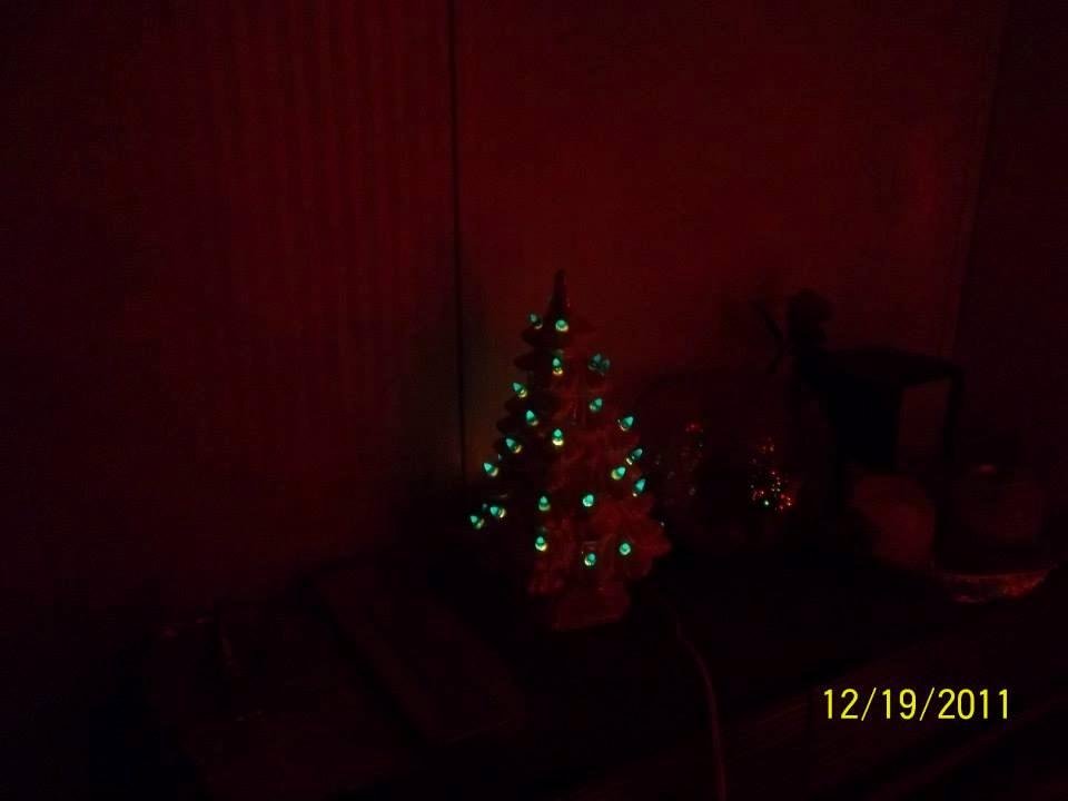 The Little Christmas tree.