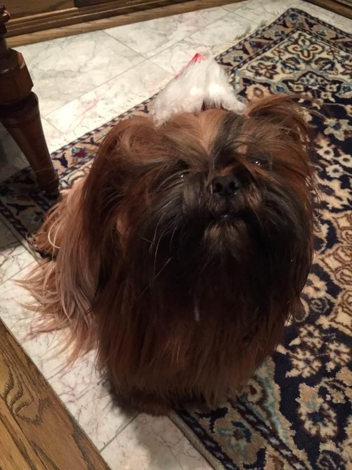 Carol Malick's album, Timeline Photos