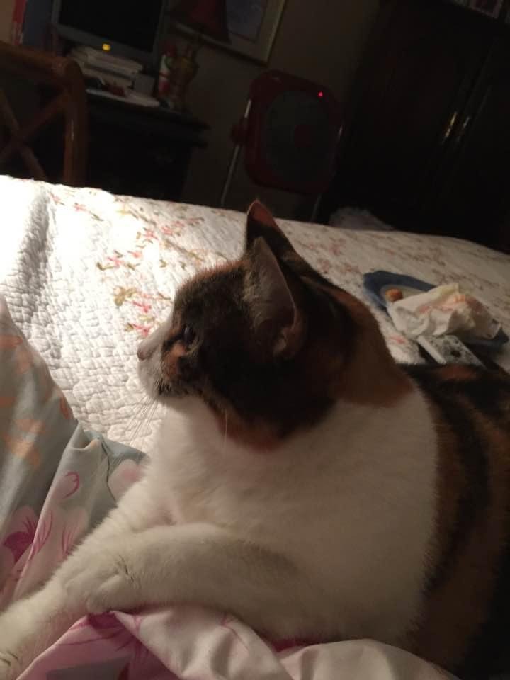 Lynette Daniels' album, Timeline Photos