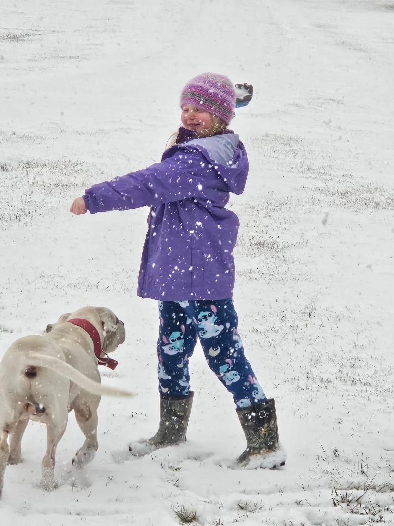 Kaia & Bison are happy playing in the snow!!
It is absolutely 💯 beautiful!!