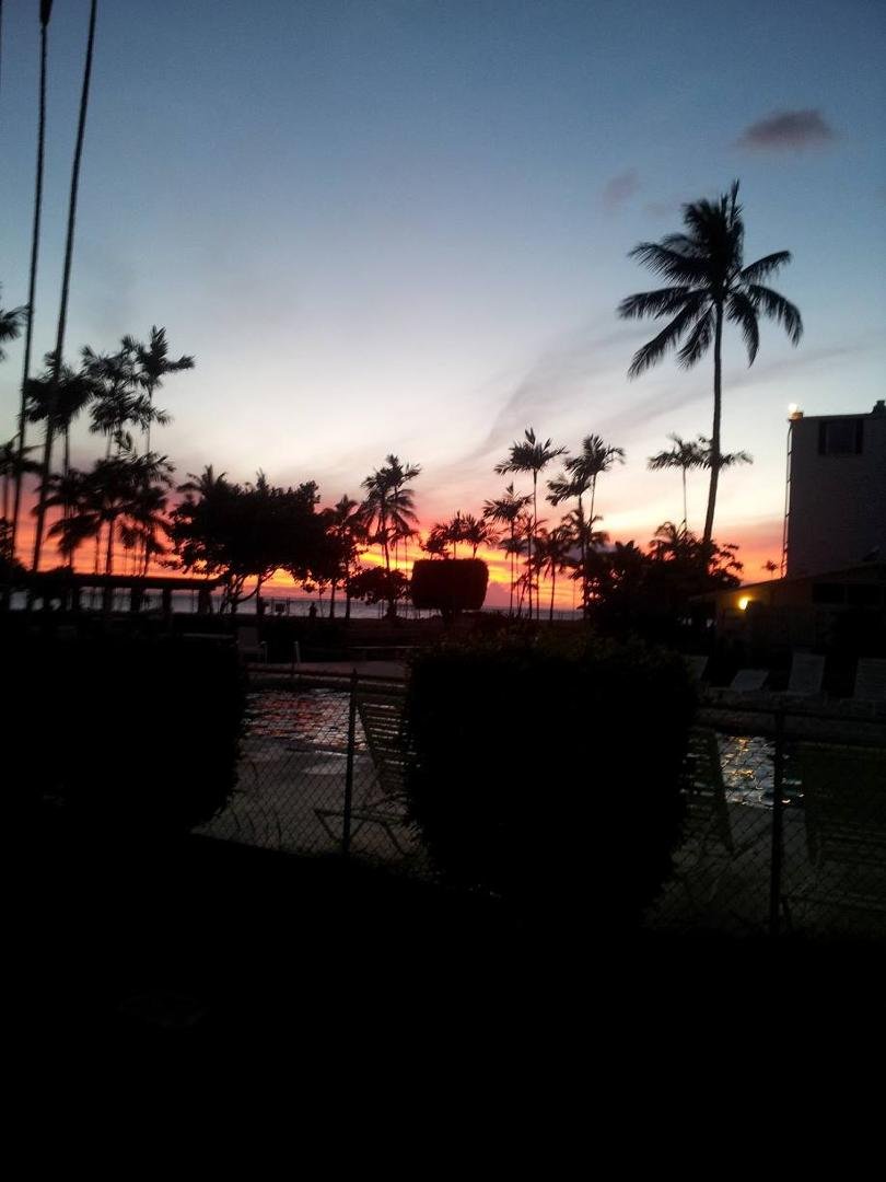 Steven Johnson's album, Mobile Uploads