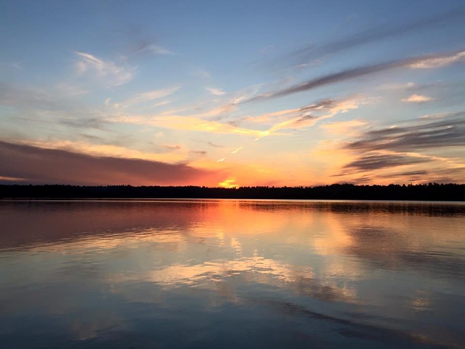 Terry Bentz's album, Mobile Uploads