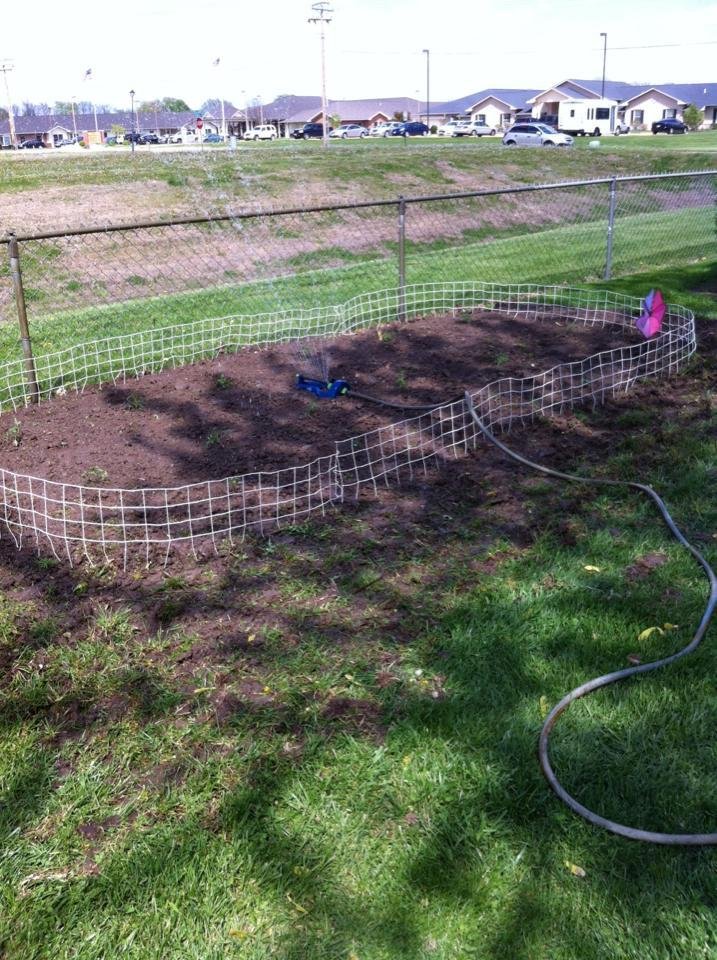 Garden's ready