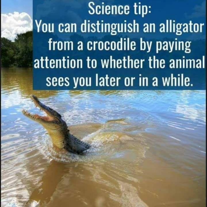 Steve Bright, here's one for you!