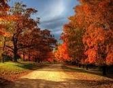 Fall 2