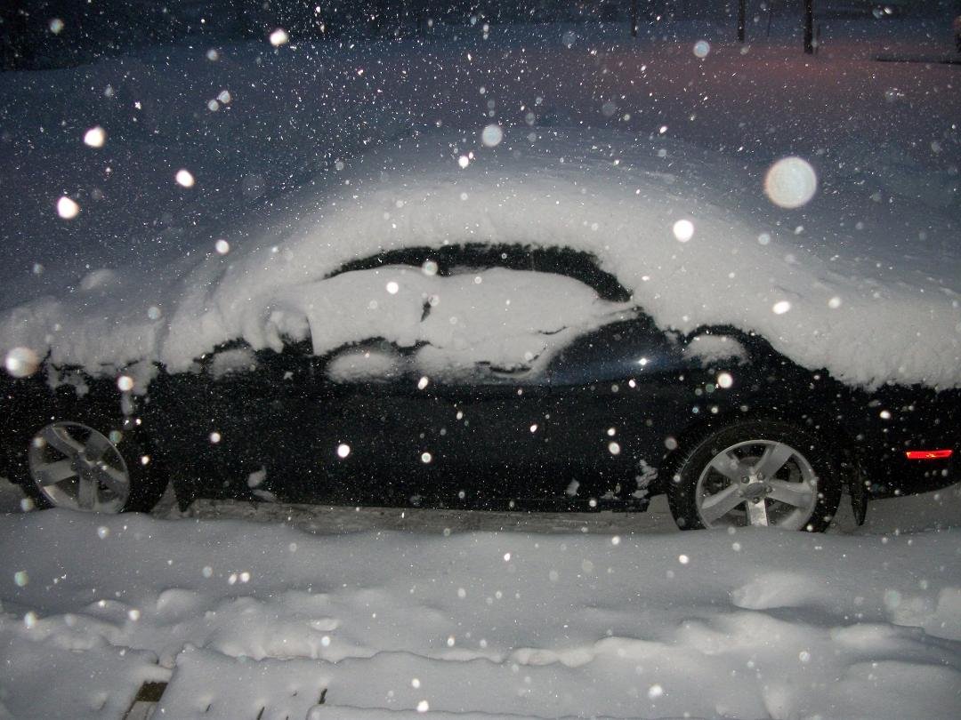 My poor baby!.......sniff sniff.......lol