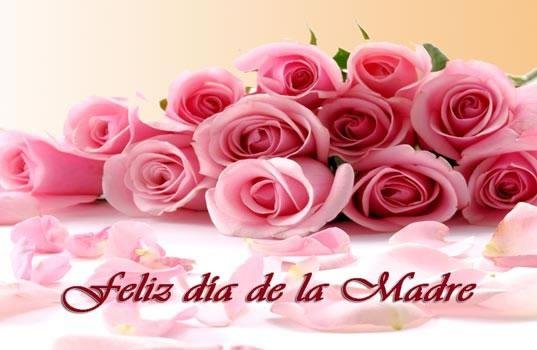 Lupe Mayorga's album, Mobile Uploads