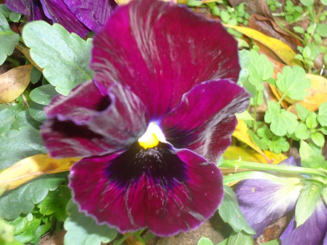Janice Bowling's album, Timeline Photos
