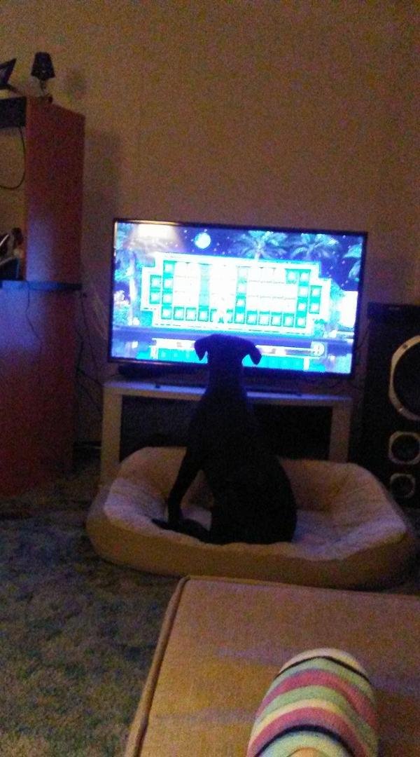 She likes Wheel of Fortune.
