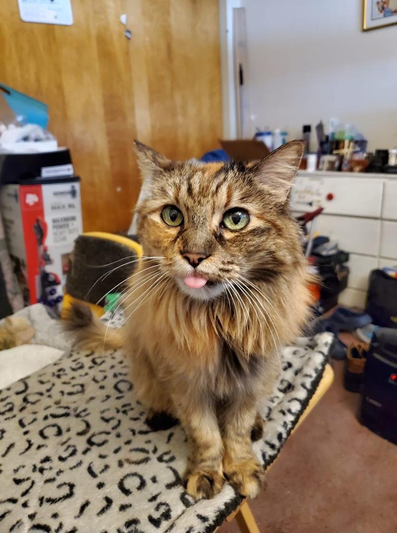 The look I get when she wants my attention. I can do that to. Can't help but to pick her up and give her some daddy loving. My sweet Pumpkin.