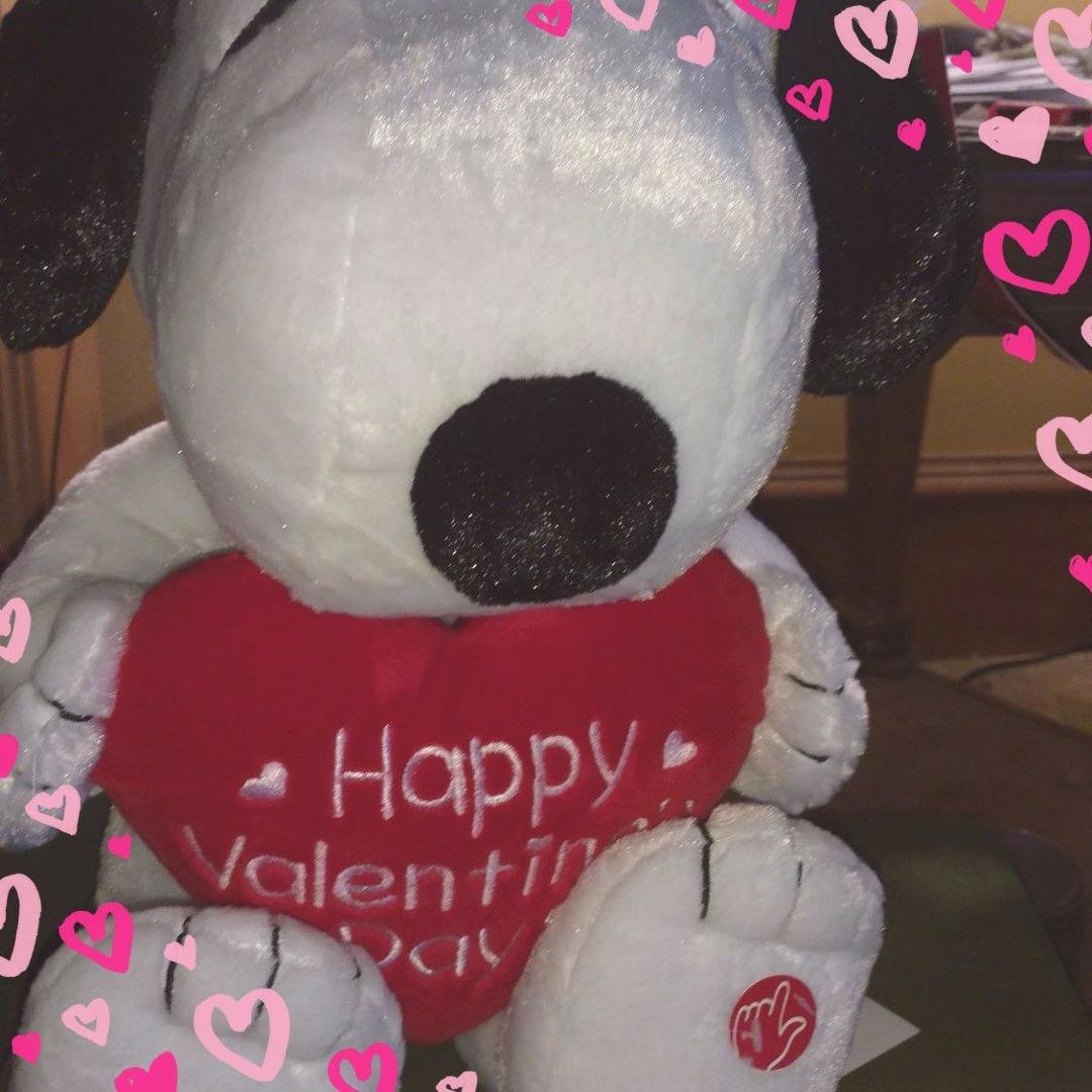 Valentine's day present from my husband. It plays the snoopy theme