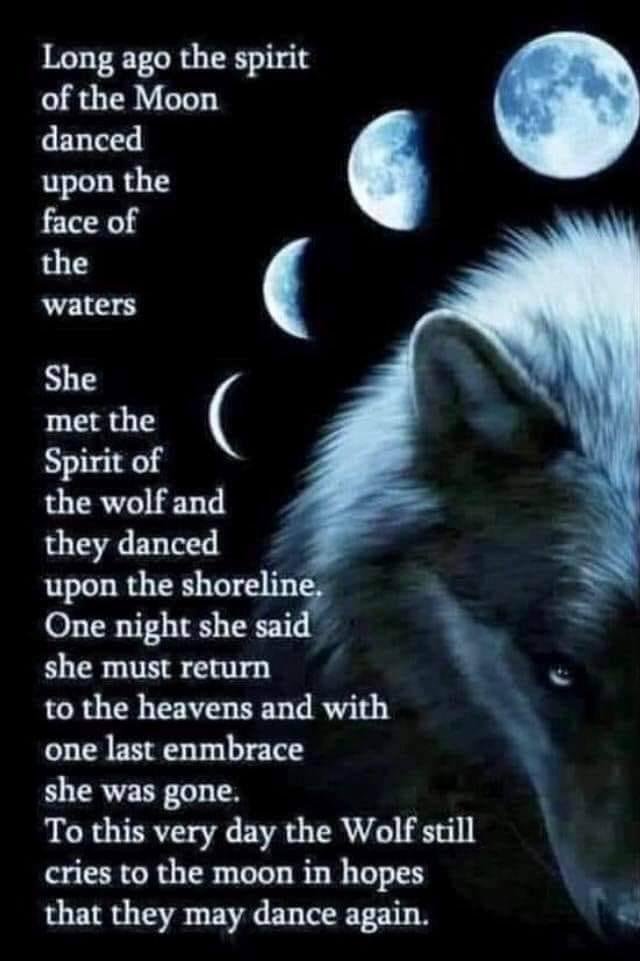 Susan Massano's album, Timeline photos