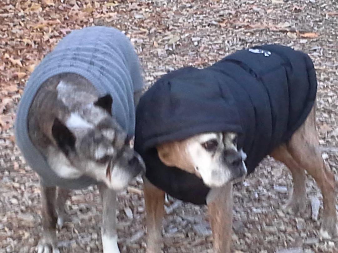 The girls are not happy having to wear their winter coats