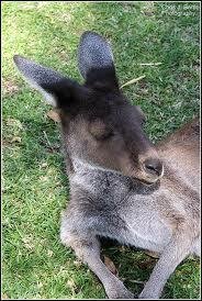 Looks like our visitor from yrsterday
