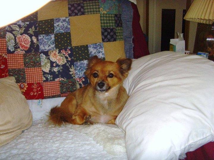 Kathy Warner's album, Sissy