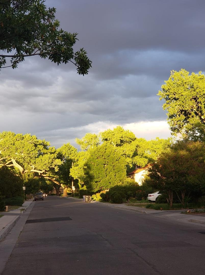 I like the end of day sun against the dark clouds in my neighborhood