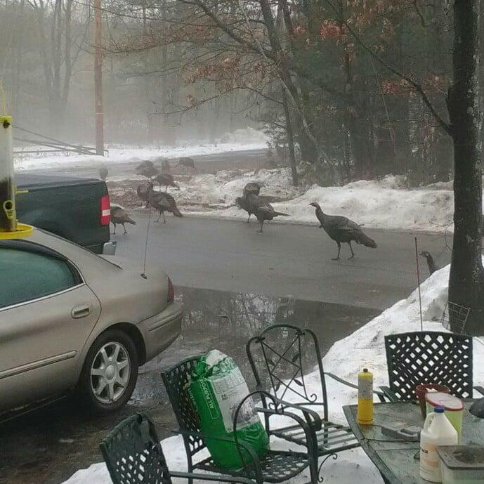 Poor Guys they don't know what there in for.