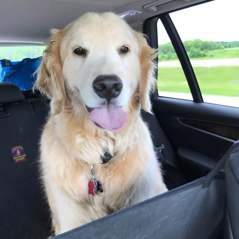 Pine Forest Lodge or bust...Abe is a happy boy!