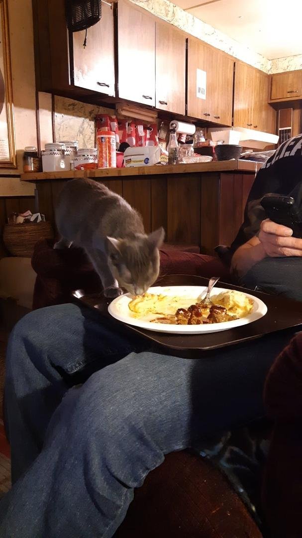 Winnie eats everything...even her daddy's food!