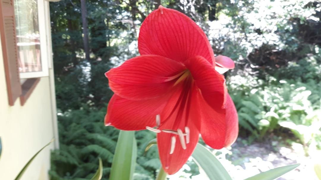 Larry Winters' album, Timeline Photos