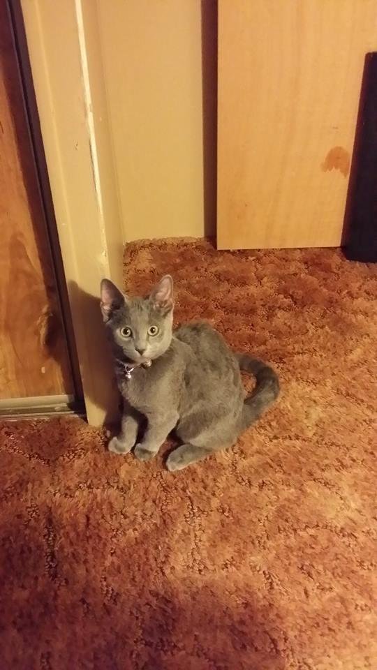 Luv that Lil face
