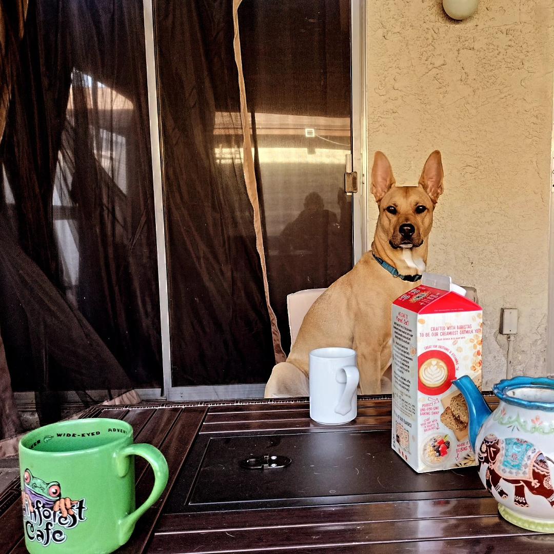 Nothing like sharing a morning cup of tea and some great political conversation with my baby girl.