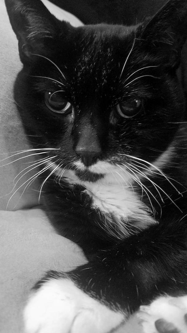 7 days. 7 black and white photos of my life. No people. No explanations. Challenge someone new everyday. This is my Day 2 - Nominated by Patty Trevett
I challenge  Ali Burdick