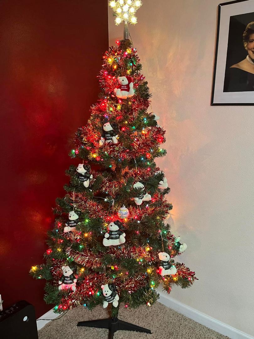 Grandsons coming to grandpas for Thanksgiving so I decided to put up the tree.