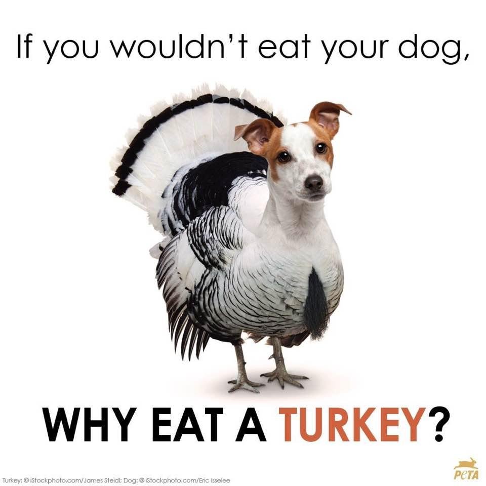 Arbee Bernstein's album, Timeline Photos