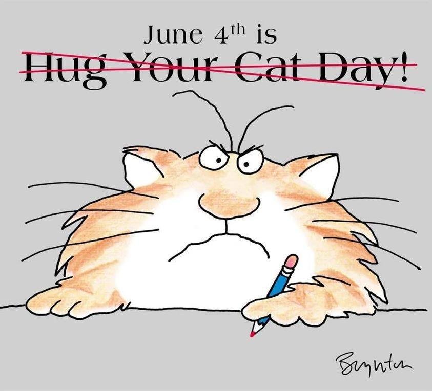 For all my cat loving friends and family