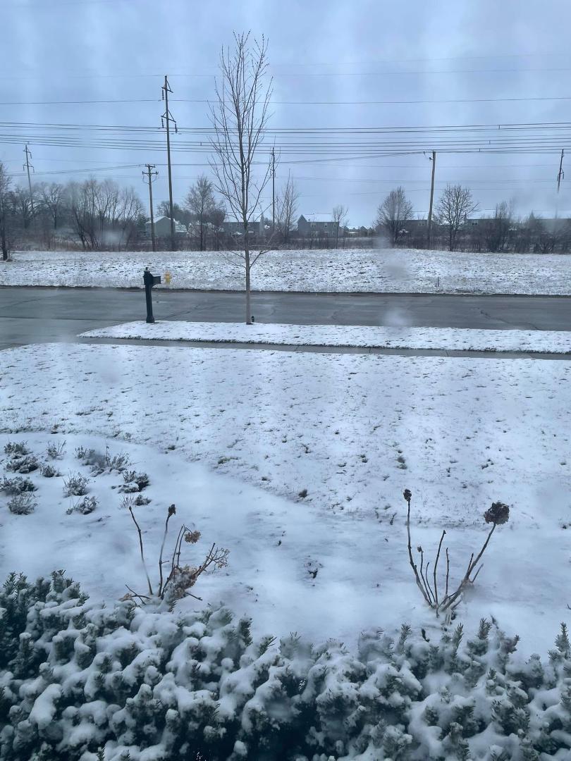 Snow this morning.