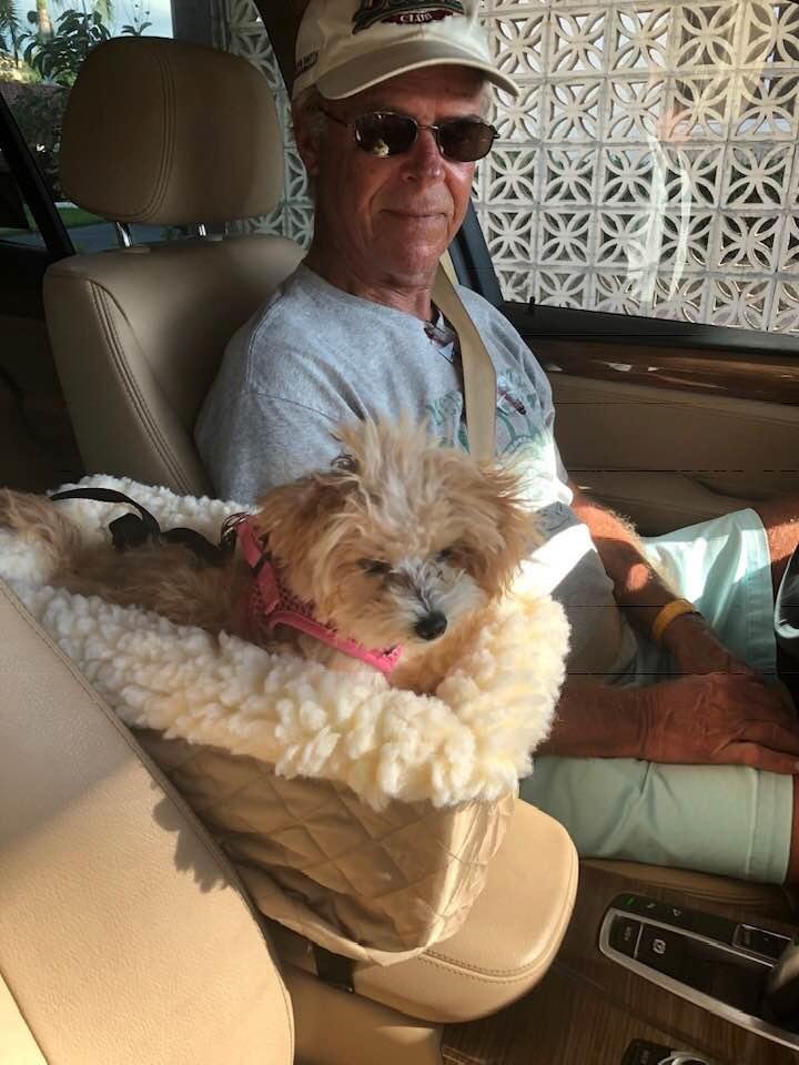 First trip in her console booster seat on her way to Petco. Favors it over her regular booster car seat. Especially liked roaming through Petco & meeting other dogs there.