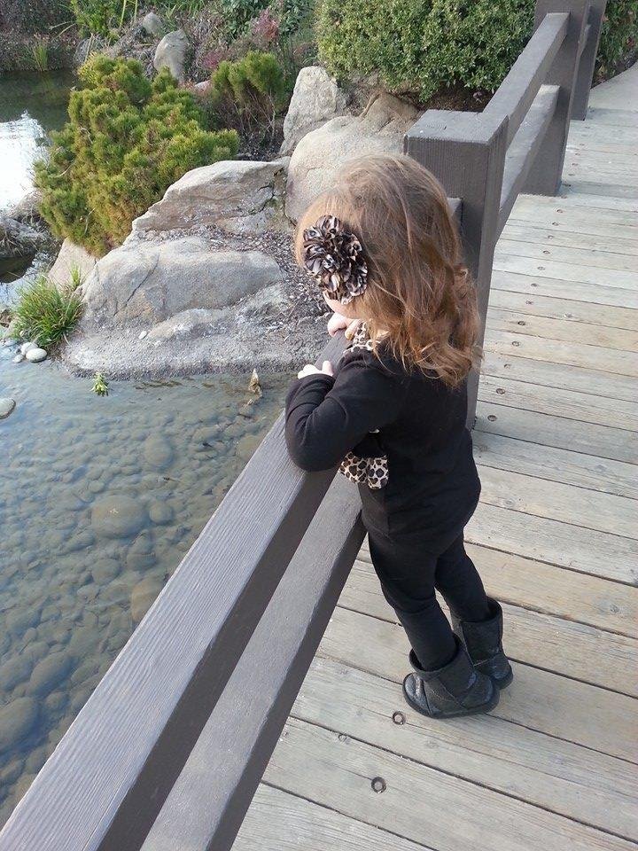 Gracie watching the fish at The Japanese Gardens at Woodward Park.