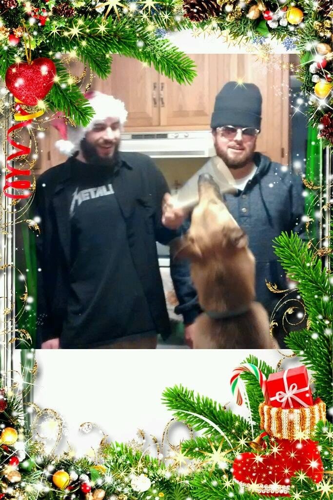 Festivus and Moishe feed their camel