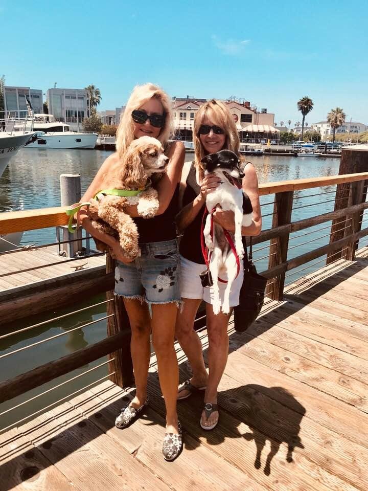 Lunch in Newport with doggies!