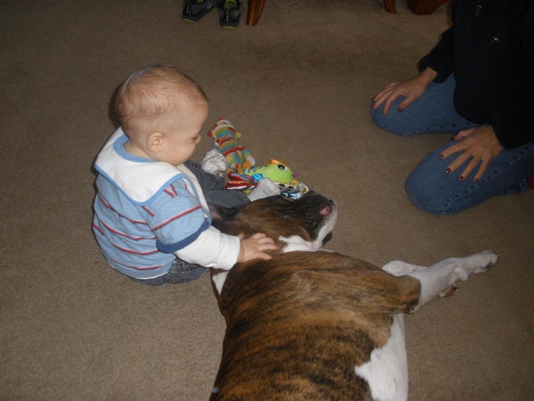 Winston showing off his well honed guard dog instincts with Hunter