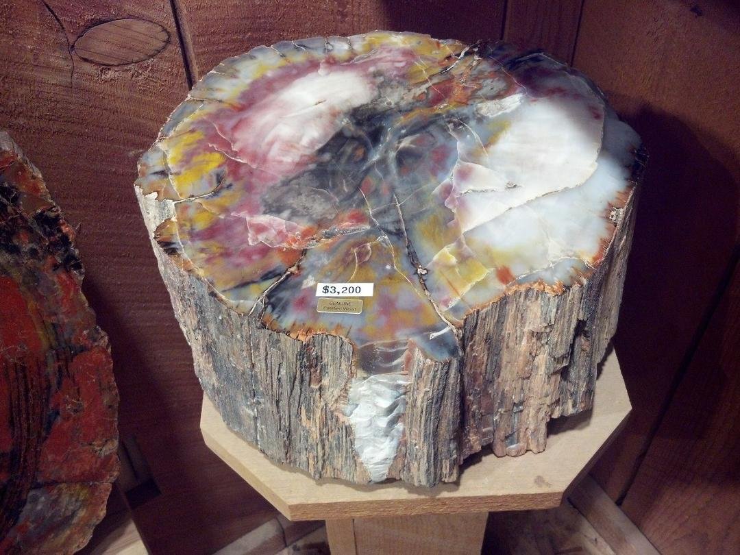How about a piece of Petrified Wood? Only $3,200!!!